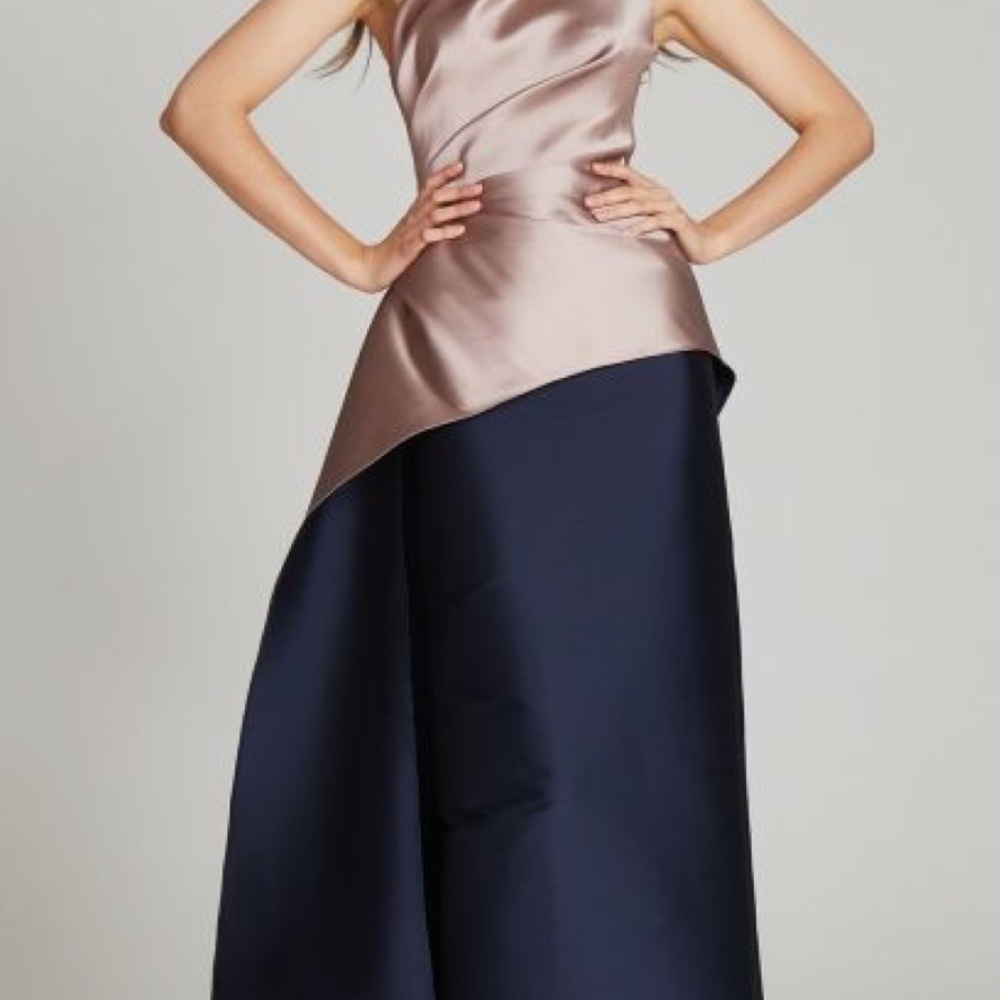 Teri Jon Mauve and Navy gown